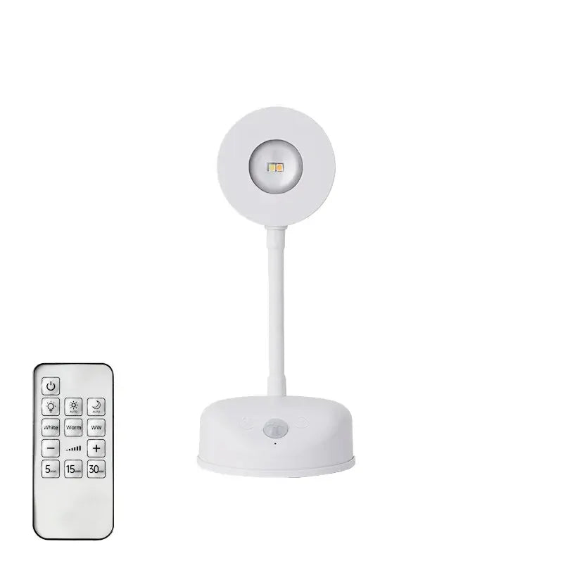 Night Light Motion Sensor Light