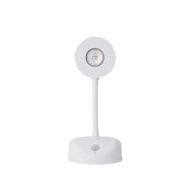 Night Light Motion Sensor Light