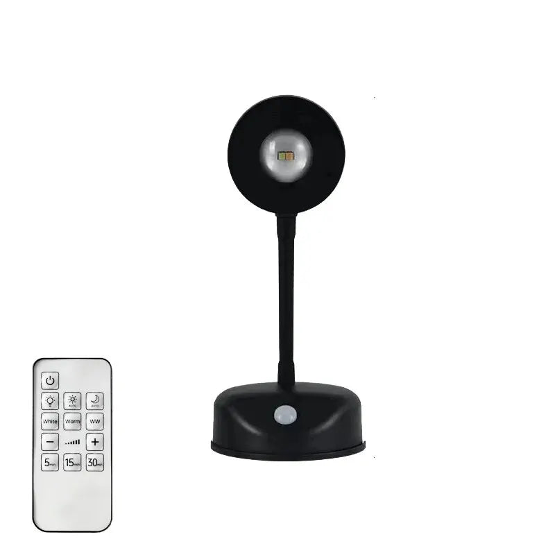 Night Light Motion Sensor Light